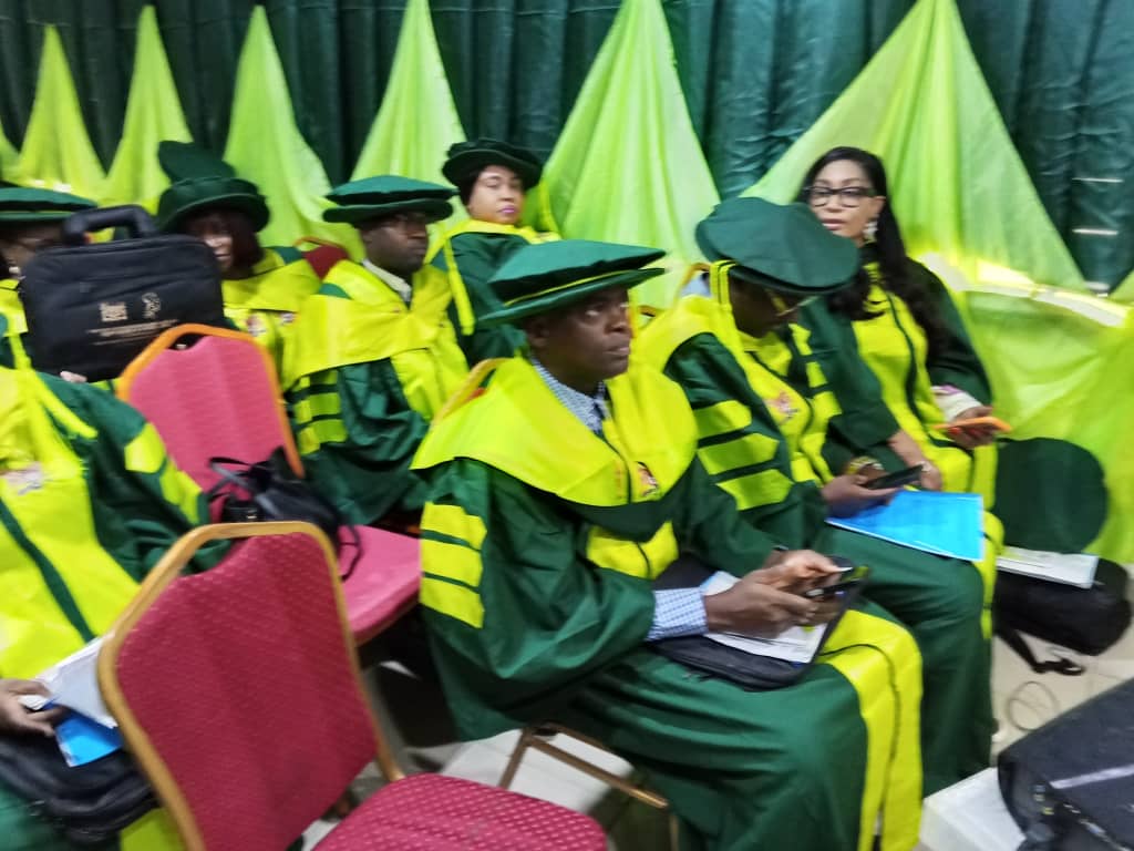 IPMA new fellows during ceremony